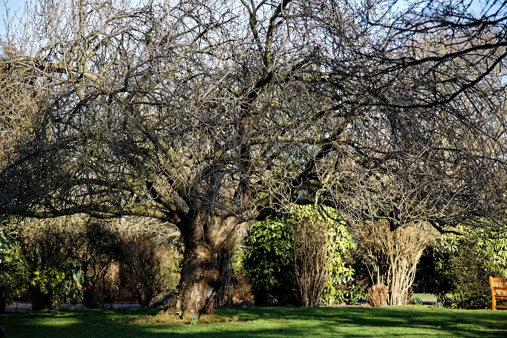 Jardín del albergue turístico de Logrosa